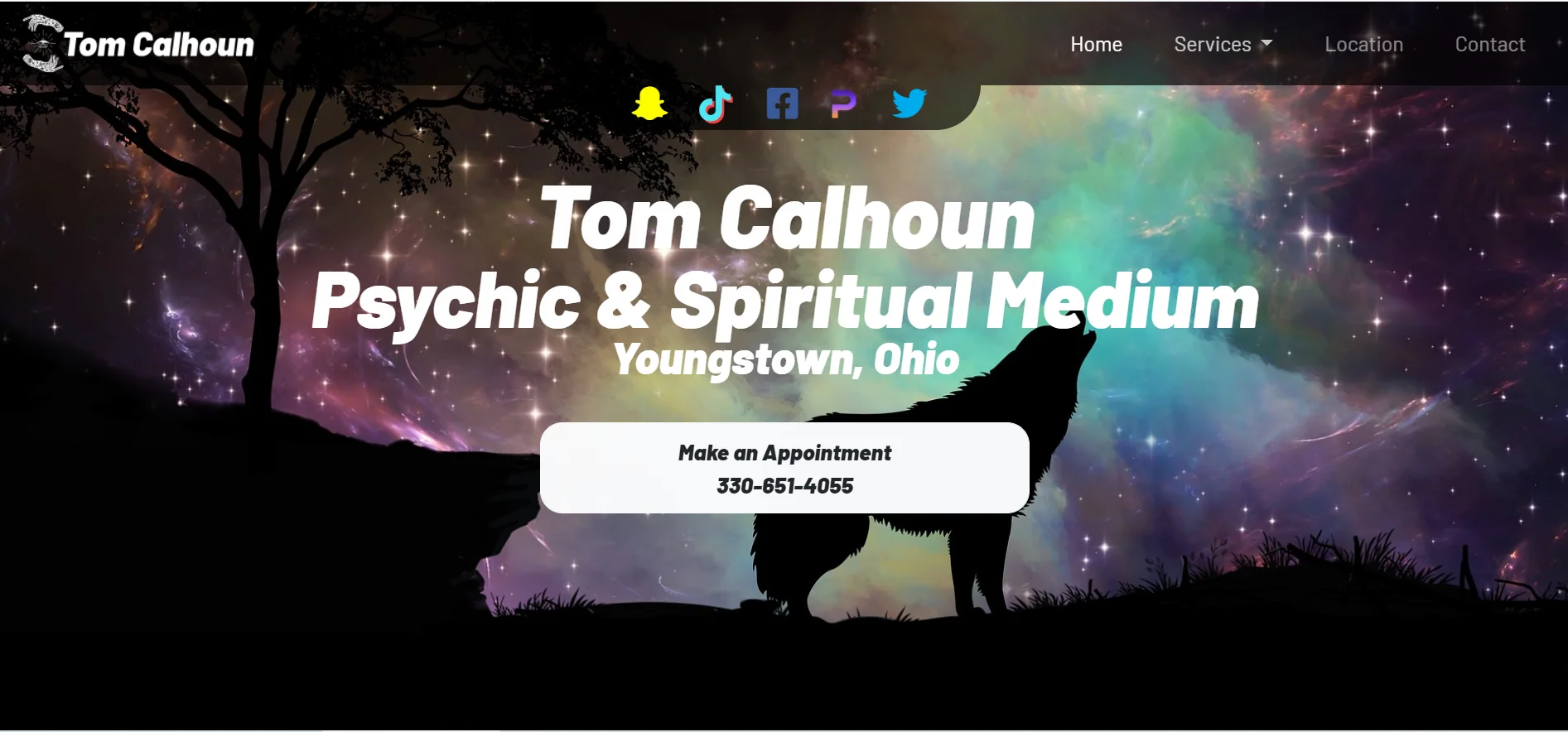 Tom's Website Screenshot Img